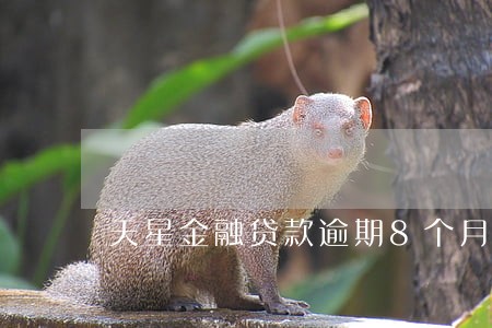 天星金融贷款逾期8个月 天星金融贷款逾期8个月