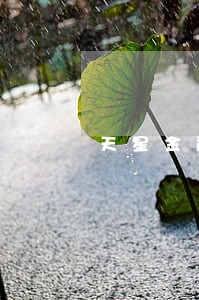 天星金融逾期1万多 天星金融逾期1万多