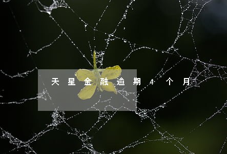 天星金融逾期4个月 天星金融逾期4个月