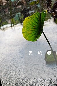 天机阁网贷逾期怎么办 天机阁网贷逾期怎么办