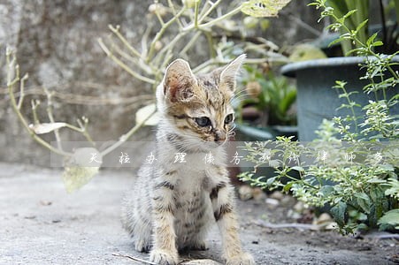 天柱办理债务纠纷律师多少钱 天柱办理债务纠纷律师多少钱