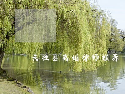 天柱县离婚律师推荐 天柱县离婚律师推荐