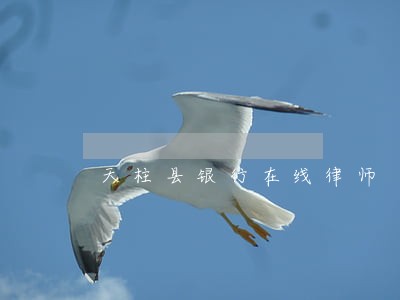 天柱县银行在线律师 天柱县银行在线律师