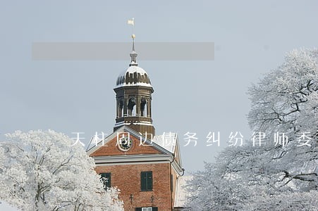 天柱周边债务纠纷律师委托咨询 天柱周边债务纠纷律师委托咨询