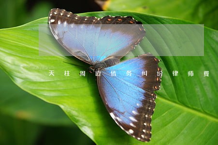 天柱周边债务纠纷律师费用 天柱周边债务纠纷律师费用