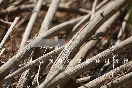 天柱周边处理债务纠纷律师 天柱周边处理债务纠纷律师