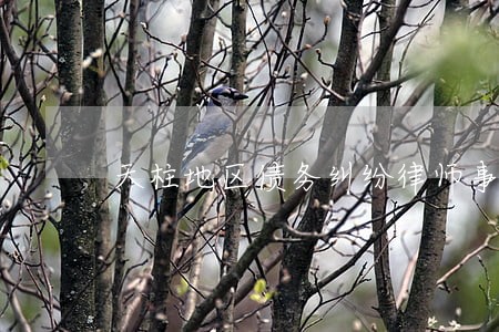 天柱地区债务纠纷律师事务所