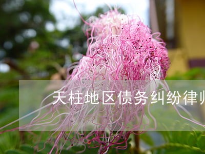 天柱地区债务纠纷律师推荐 天柱地区债务纠纷律师推荐