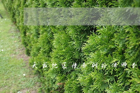 天柱地区债务纠纷律师费用 天柱地区债务纠纷律师费用