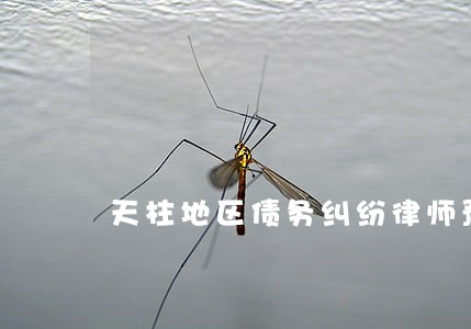 天柱地区债务纠纷律师预约咨询 天柱地区债务纠纷律师预约咨询