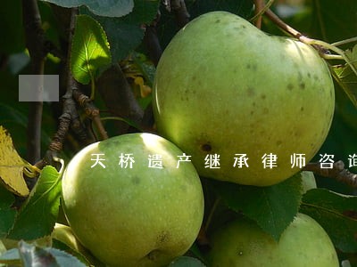 天桥遗产继承律师咨询 天桥遗产继承律师咨询