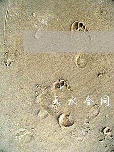 天水合同纠纷律师咨询 天水合同纠纷律师咨询