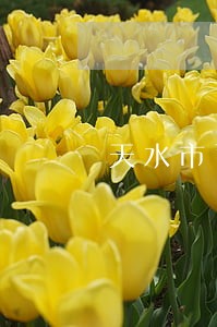 天水市司法局副局长 天水市司法局副局长