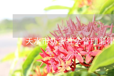 天水市妨害社会管理罪律师咨询 天水市妨害社会管理罪律师咨询