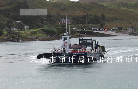 天水市审计局已出台的审计法规 天水市审计局已出台的审计法规