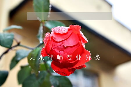 天水律师专业分类 天水律师专业分类