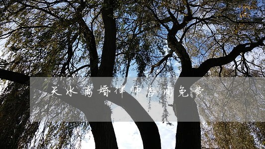 天水离婚律师咨询免费 天水离婚律师咨询免费