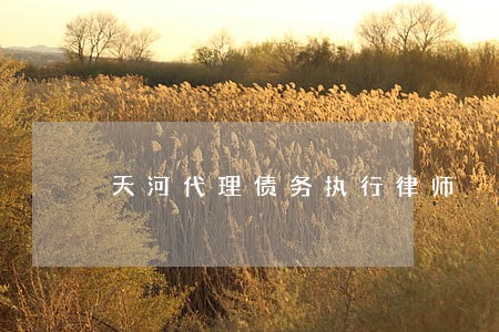 天河代理债务执行律师 天河代理债务执行律师