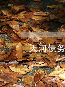 天河债务合同律师团队 天河债务合同律师团队