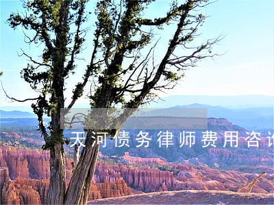 天河债务律师费用咨询 天河债务律师费用咨询
