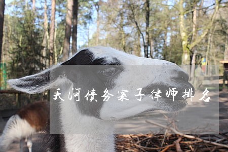 天河债务案子律师排名 天河债务案子律师排名