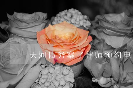 天河债务案子律师预约电话 天河债务案子律师预约电话