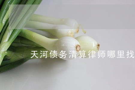 天河债务清算律师哪里找 天河债务清算律师哪里找