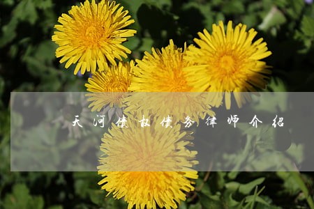天河债权债务律师介绍 天河债权债务律师介绍