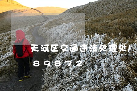 天河区交通违法处理处/2023020389872 天河区交通违法处理处/2023020389872