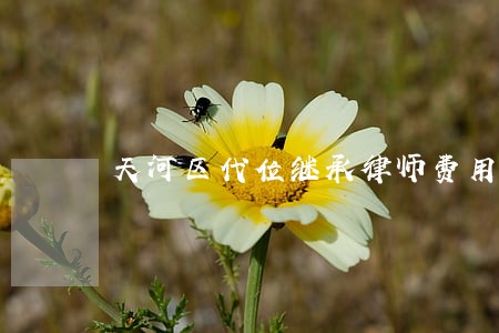 天河区代位继承律师费用 天河区代位继承律师费用
