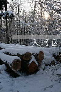 天河区借款协议律师 天河区借款协议律师