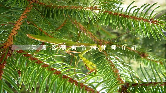 天河区债务合同律师介绍 天河区债务合同律师介绍