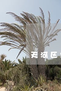 天河区债务律师事务所 天河区债务律师事务所