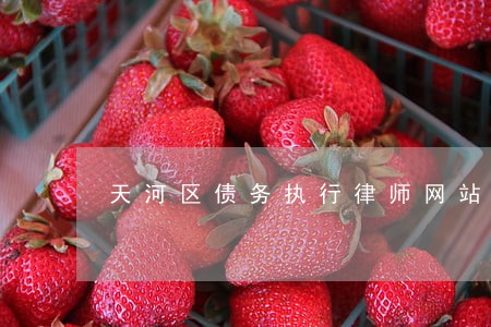 天河区债务执行律师网站 天河区债务执行律师网站