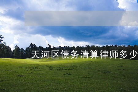 天河区债务清算律师多少钱