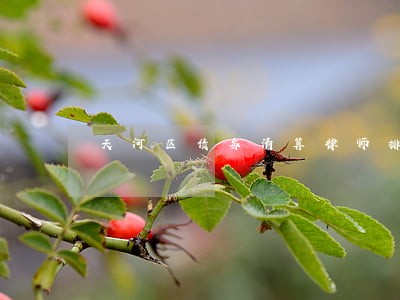 天河区债务清算律师排名 天河区债务清算律师排名