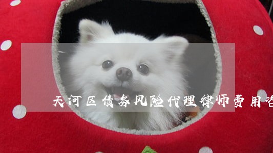 天河区债务风险代理律师费用咨询 天河区债务风险代理律师费用咨询