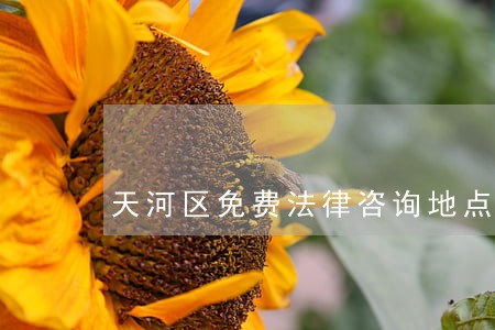 天河区免费法律咨询地点 天河区免费法律咨询地点
