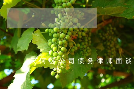 天河区公司债务律师面谈预约 天河区公司债务律师面谈预约