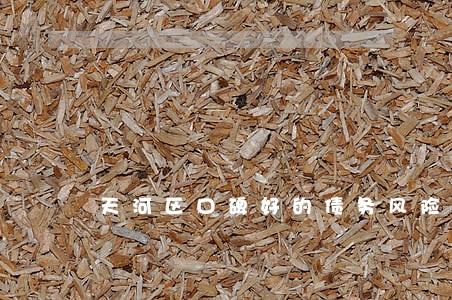 天河区口碑好的债务风险代理律师 天河区口碑好的债务风险代理律师
