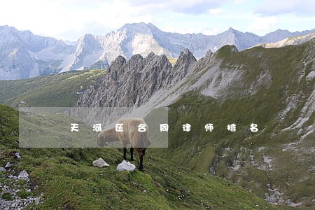 天河区合同律师排名 天河区合同律师排名