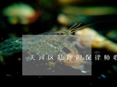 天河区抵押担保律师收费