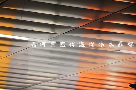 天河区盗伐滥伐林木罪律师网 天河区盗伐滥伐林木罪律师网