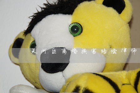 天河区离婚损害赔偿律师法律咨询 天河区离婚损害赔偿律师法律咨询