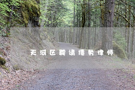 天河区聘请债务律师 天河区聘请债务律师