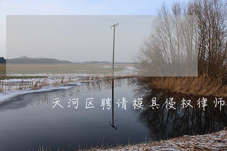 天河区聘请模具侵权律师 天河区聘请模具侵权律师