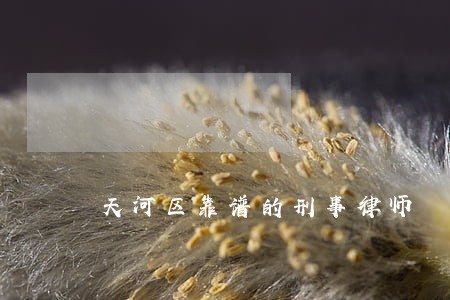 天河区靠谱的刑事律师 天河区靠谱的刑事律师