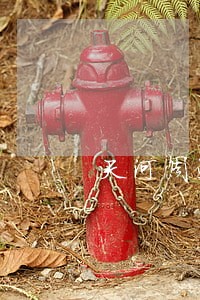 天河周边代理婚姻律师 天河周边代理婚姻律师