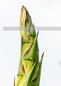天河周边找离婚纠纷律师 天河周边找离婚纠纷律师