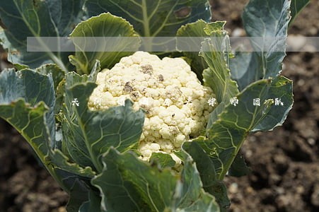 天河婚姻房产律师团队 天河婚姻房产律师团队